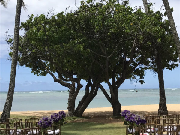 ウェディングギャラリー 会場装花